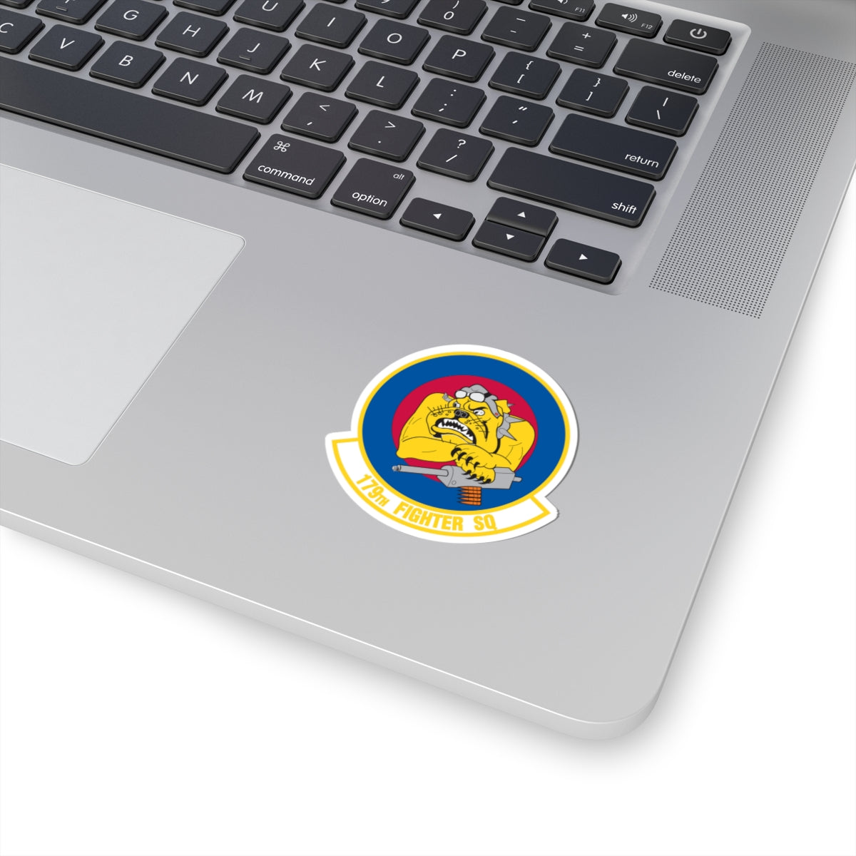 179th Fighter Squadron (U.S. Air Force) STICKER Vinyl Kiss-Cut Decal-The Sticker Space