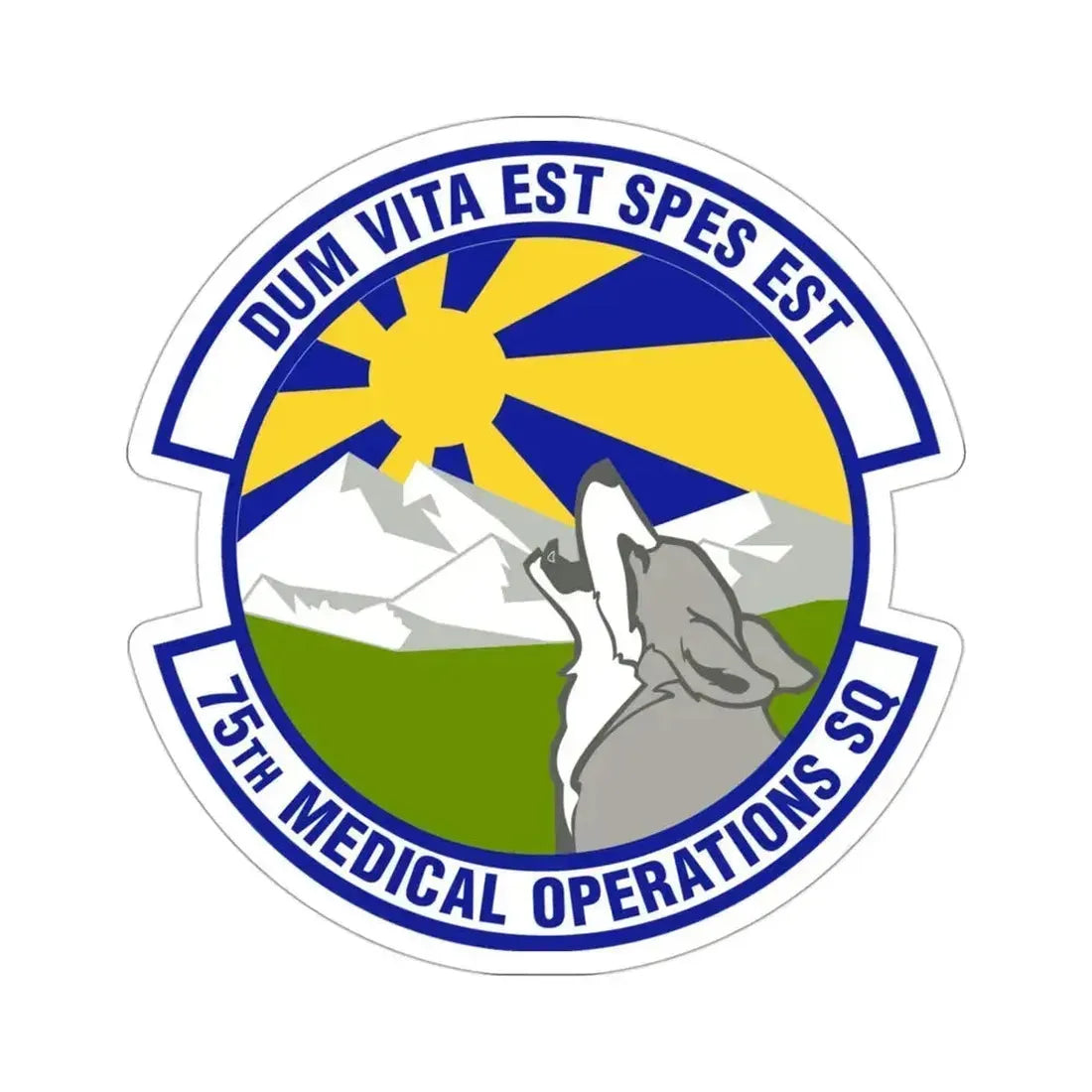 75th Medical Operations Squadron (U.S. Air Force) STICKER Vinyl Die-Cut Decal 3 Inch - The Sticker Space