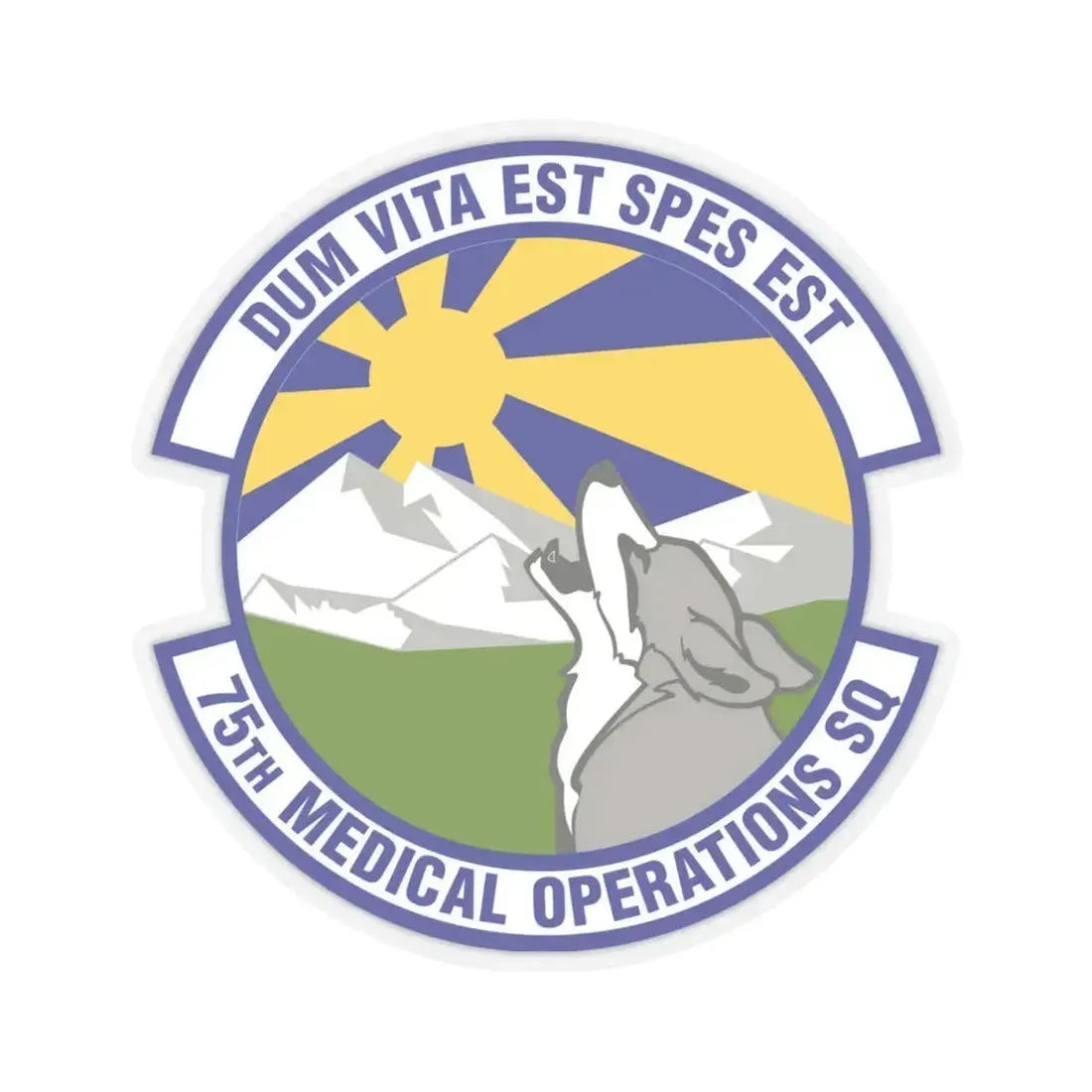 75th Medical Operations Squadron (U.S. Air Force) STICKER Vinyl Kiss-Cut Decal 4 Inch Transparent - The Sticker Space