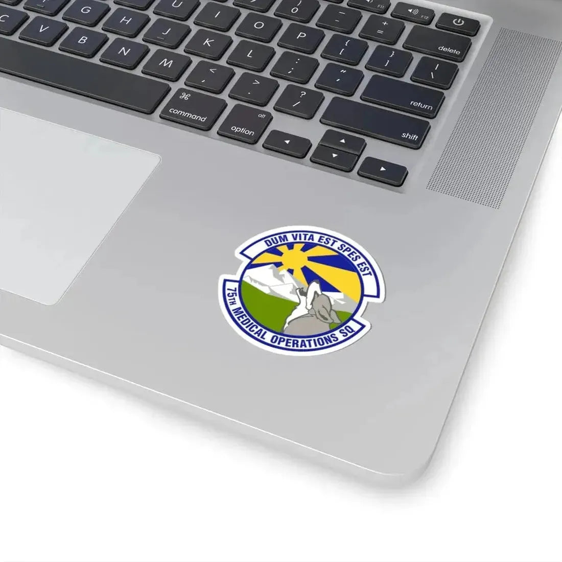 75th Medical Operations Squadron (U.S. Air Force) STICKER Vinyl Kiss-Cut Decal - The Sticker Space