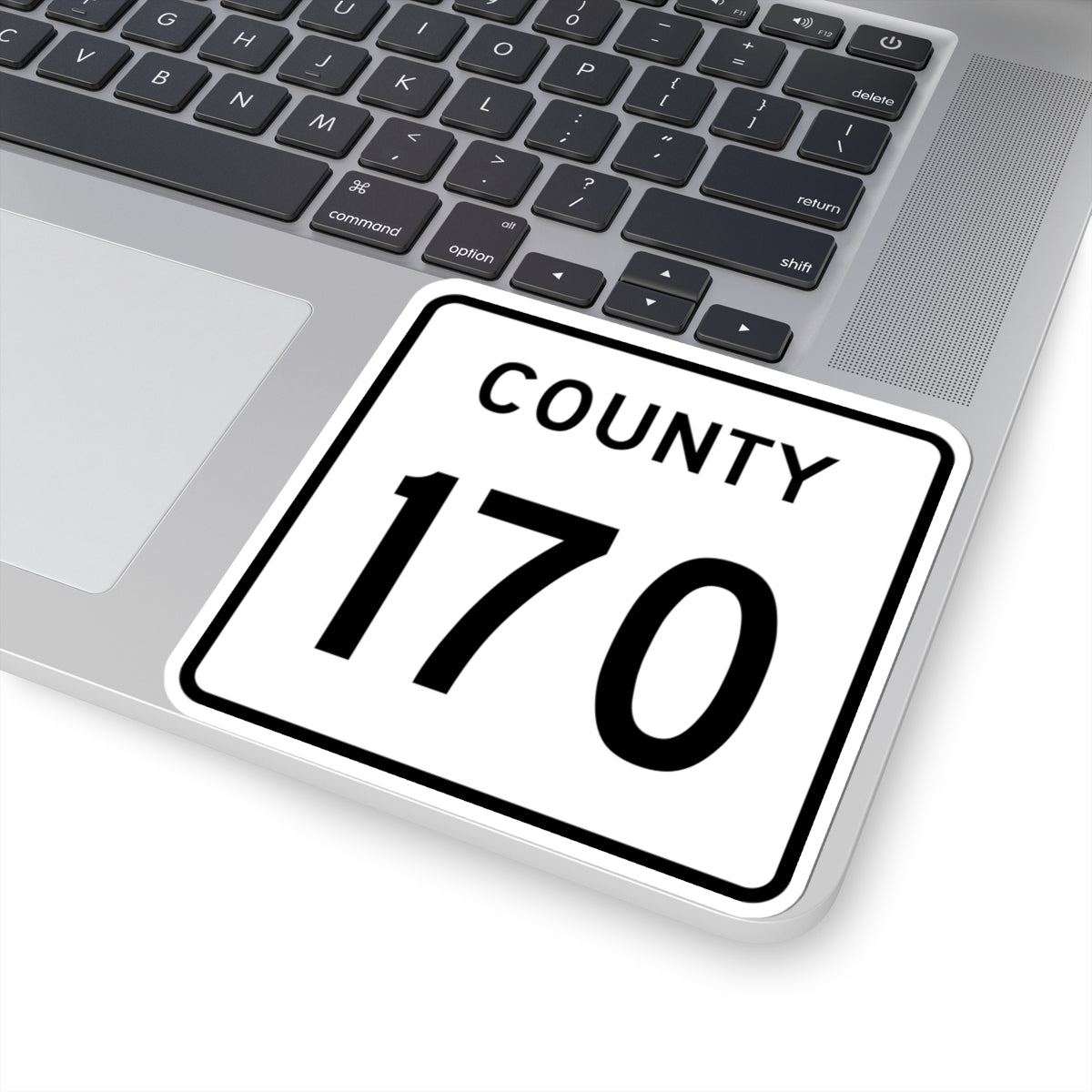 County 170 square (Minnesota) (Road Sign) STICKER Vinyl Kiss-Cut Decal
