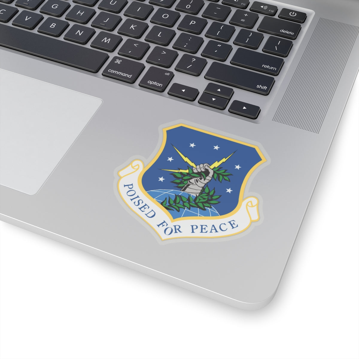 91st Space Wing (U.S. Air Force) STICKER Vinyl Kiss-Cut Decal