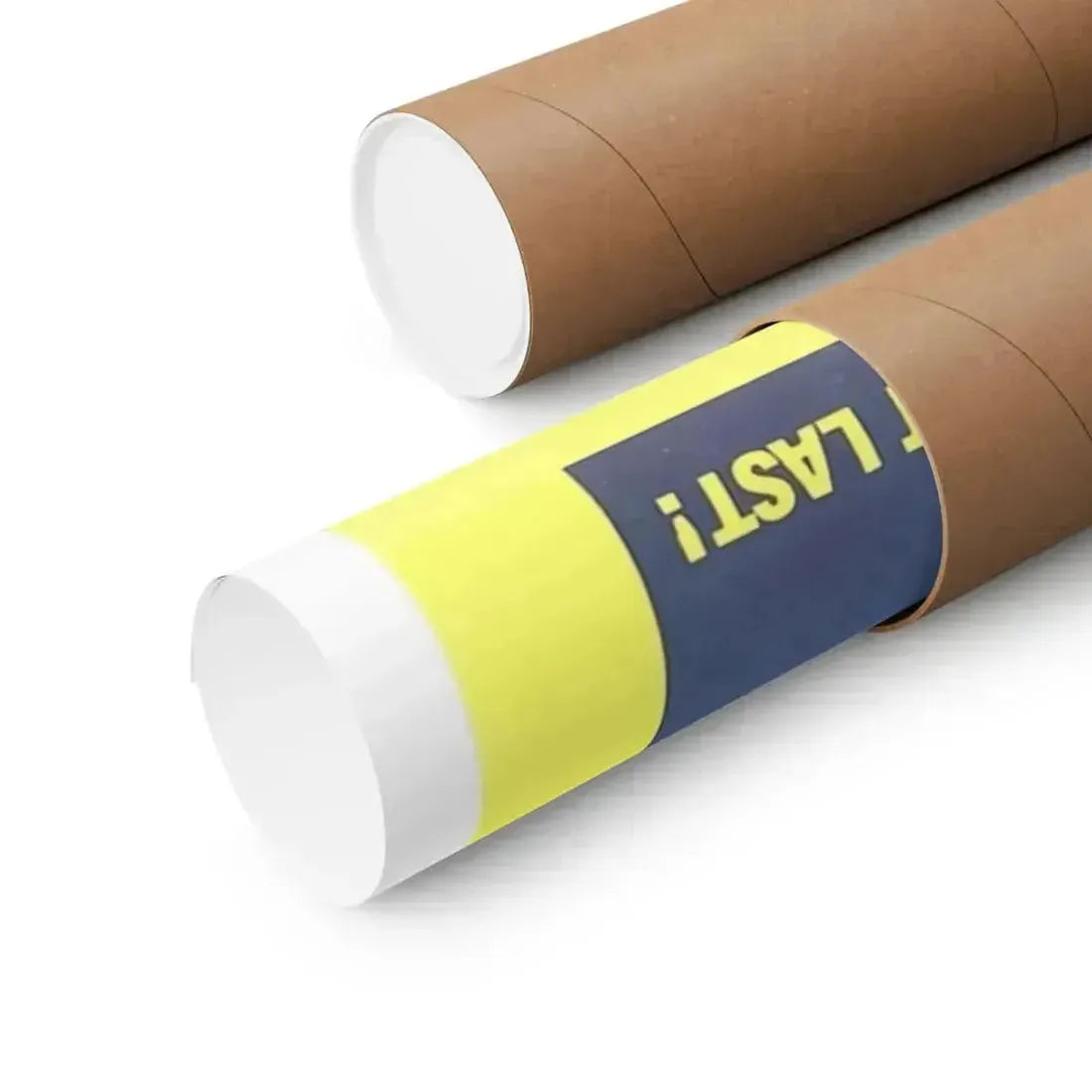 A NYMPHOID BARBARIAN IN DINOSAUR HELL 1990 - Paper Movie Poster - The Sticker Space