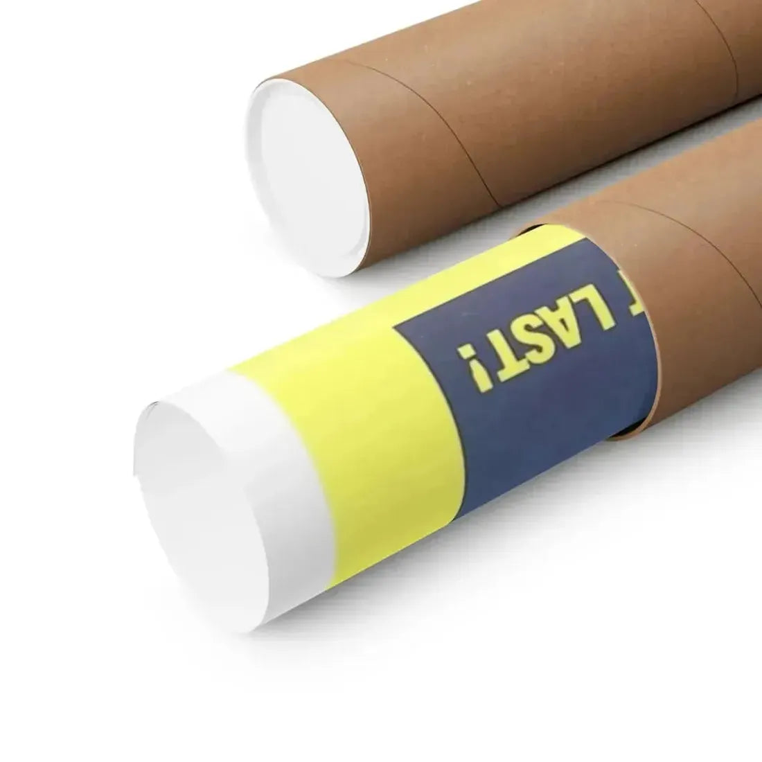 A NYMPHOID BARBARIAN IN DINOSAUR HELL 1990 - Paper Movie Poster - The Sticker Space