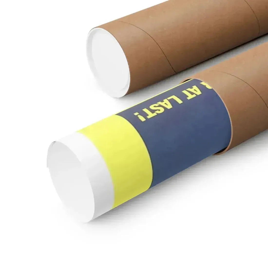 A NYMPHOID BARBARIAN IN DINOSAUR HELL 1990 - Paper Movie Poster - The Sticker Space