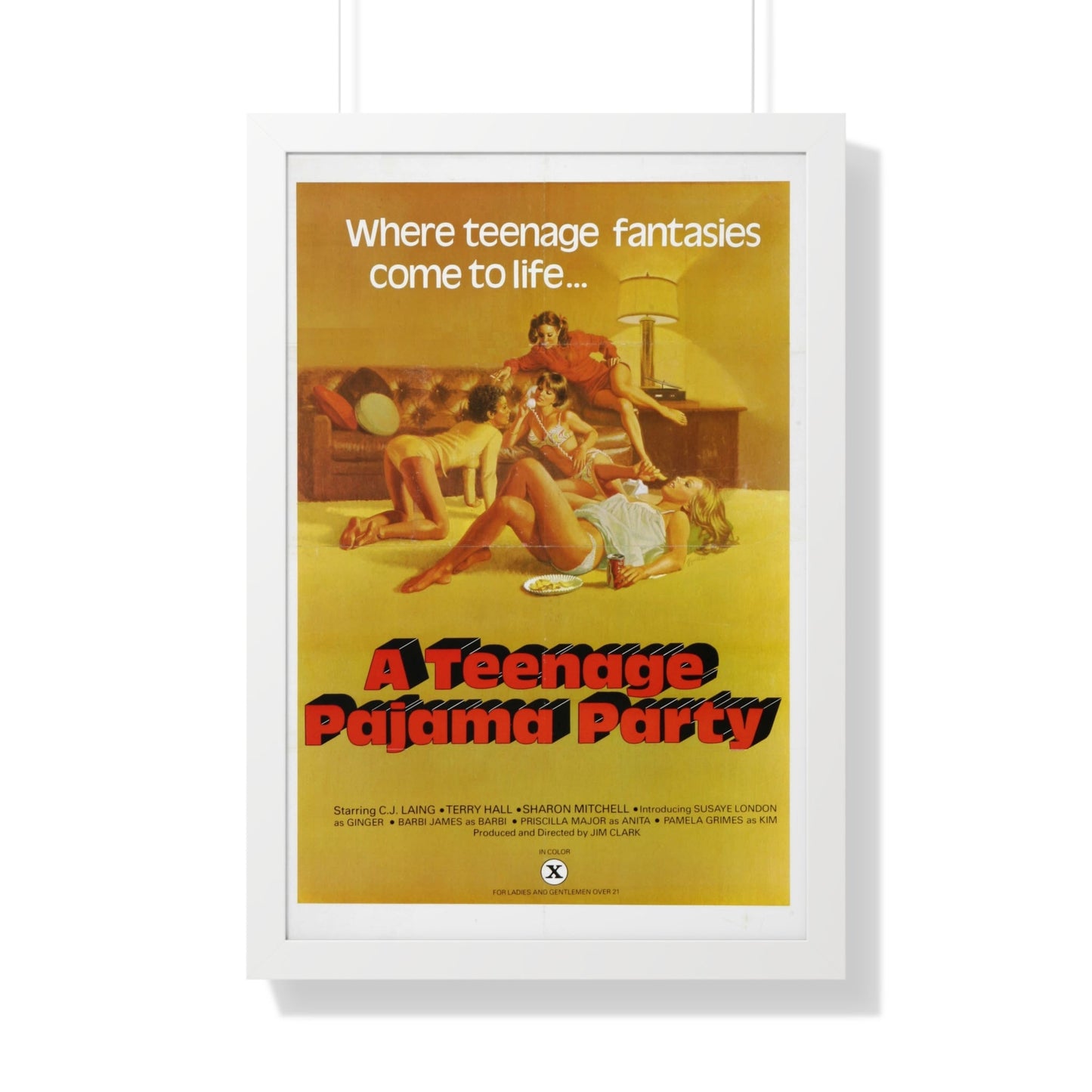 A TEENAGE PAJAMA PARTY 1977 - Framed Movie Poster-20" x 30"-The Sticker Space