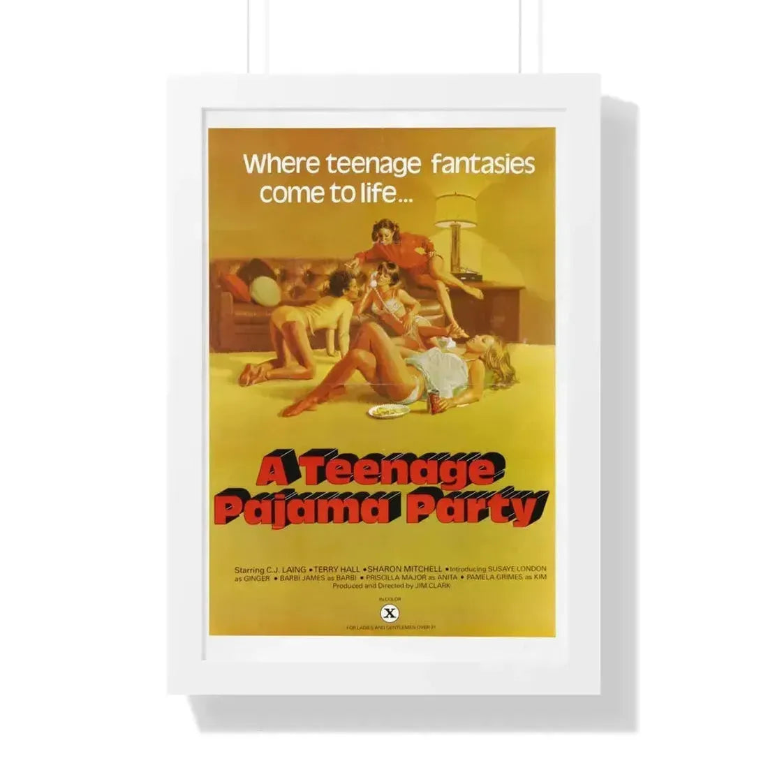 A TEENAGE PAJAMA PARTY 1977 - Framed Movie Poster - The Sticker Space