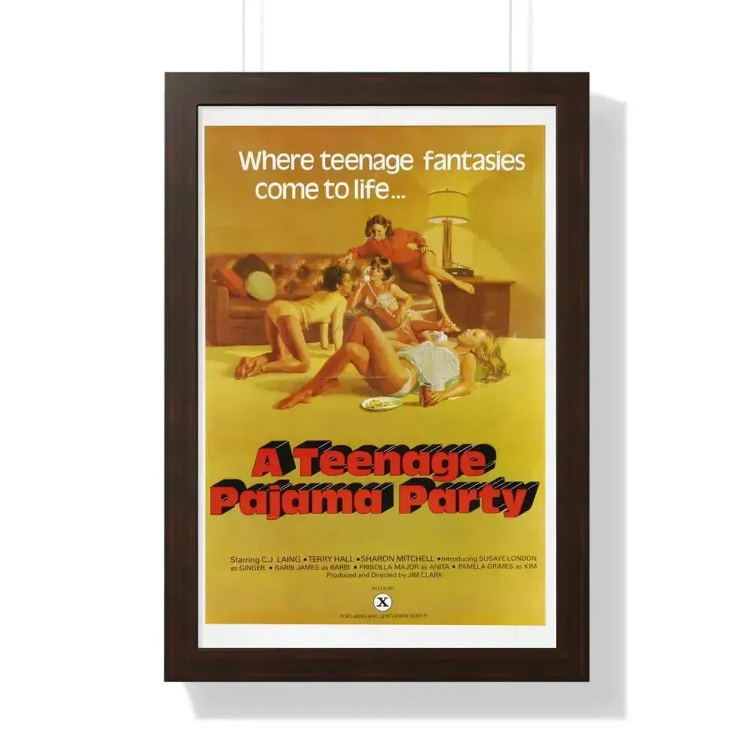 A TEENAGE PAJAMA PARTY 1977 - Framed Movie Poster - The Sticker Space