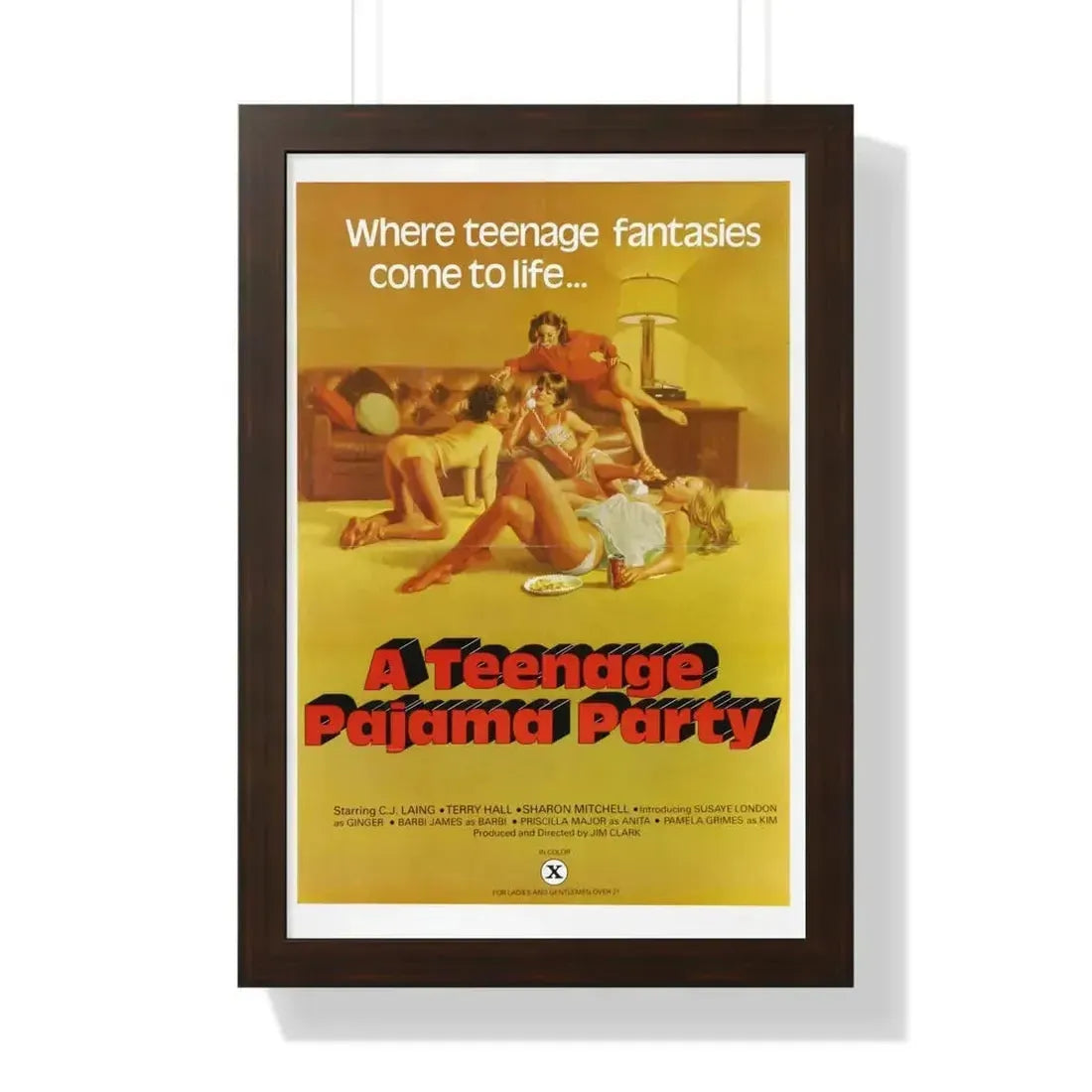 A TEENAGE PAJAMA PARTY 1977 - Framed Movie Poster - The Sticker Space