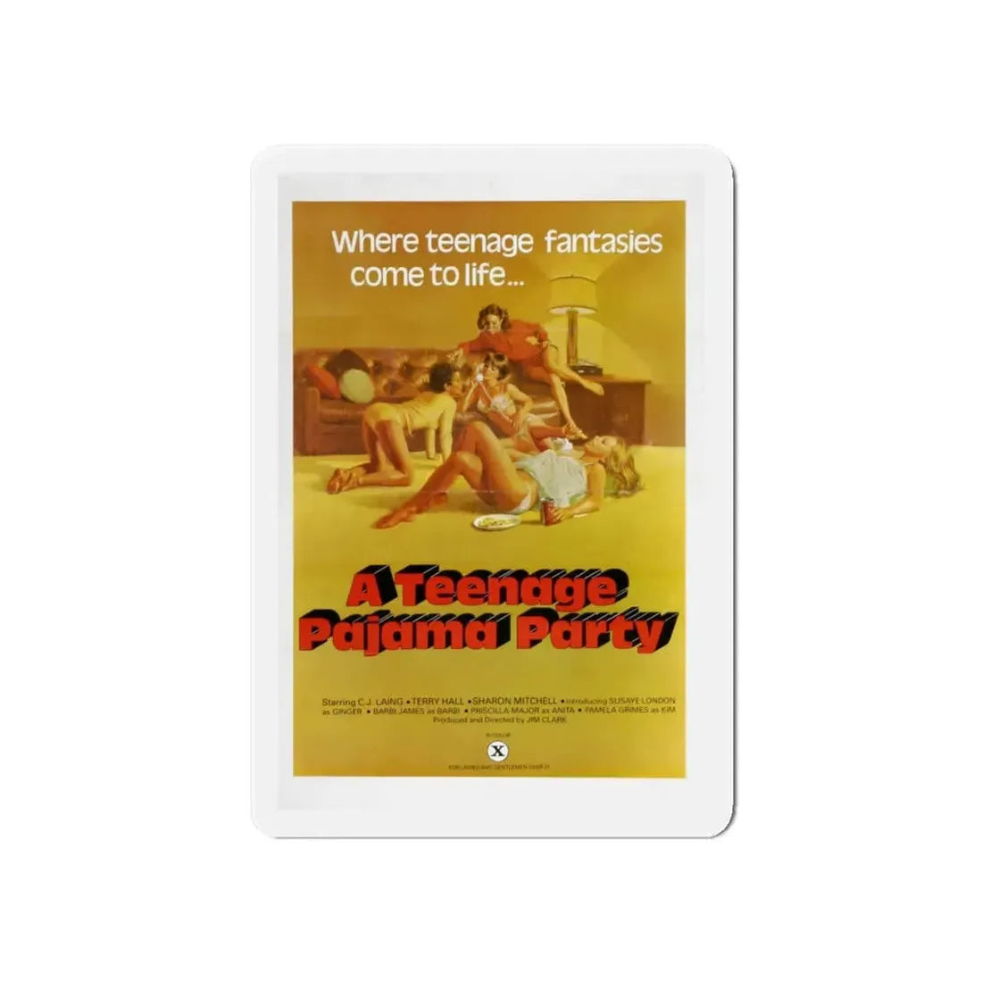 A TEENAGE PAJAMA PARTY 1977 Movie Poster - Refrigerator Magnet - The Sticker Space