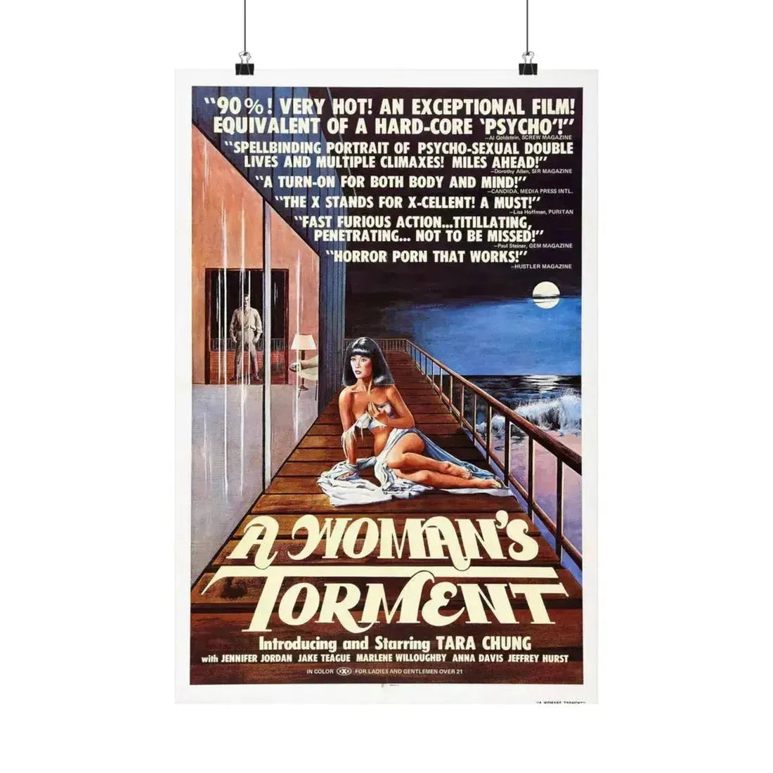 A WOMAN'S TORMENT 1977 - Paper Movie Poster 16″ x 24″ Matte - The Sticker Space