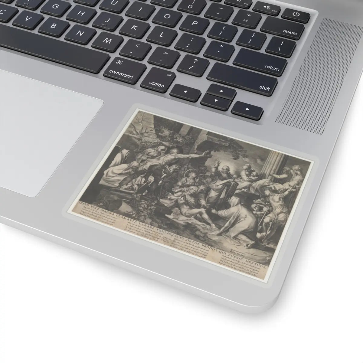 SKU:TSS-STICK-BRHBLM-4X4 Sizes:4" × 4" Types:Transparent