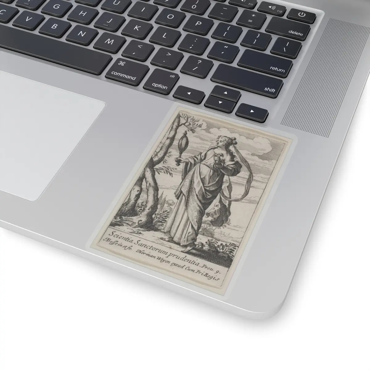 SKU:TSS-STICK-BRHBSS-4X4-13RPR Sizes:4" × 4" Types:Transparent