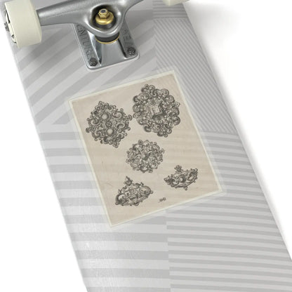 SKU:TSS-STICK-BRHD-6X6-13RTN Sizes:6" × 6" Types:Transparent