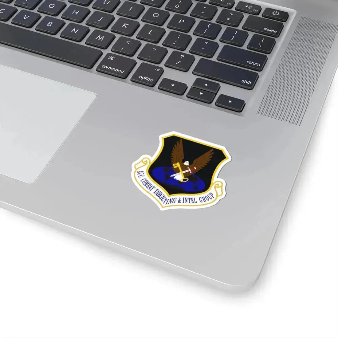ACC Combat Targeting & Intelligence Group (U.S. Air Force) STICKER Vinyl Kiss-Cut Decal - The Sticker Space
