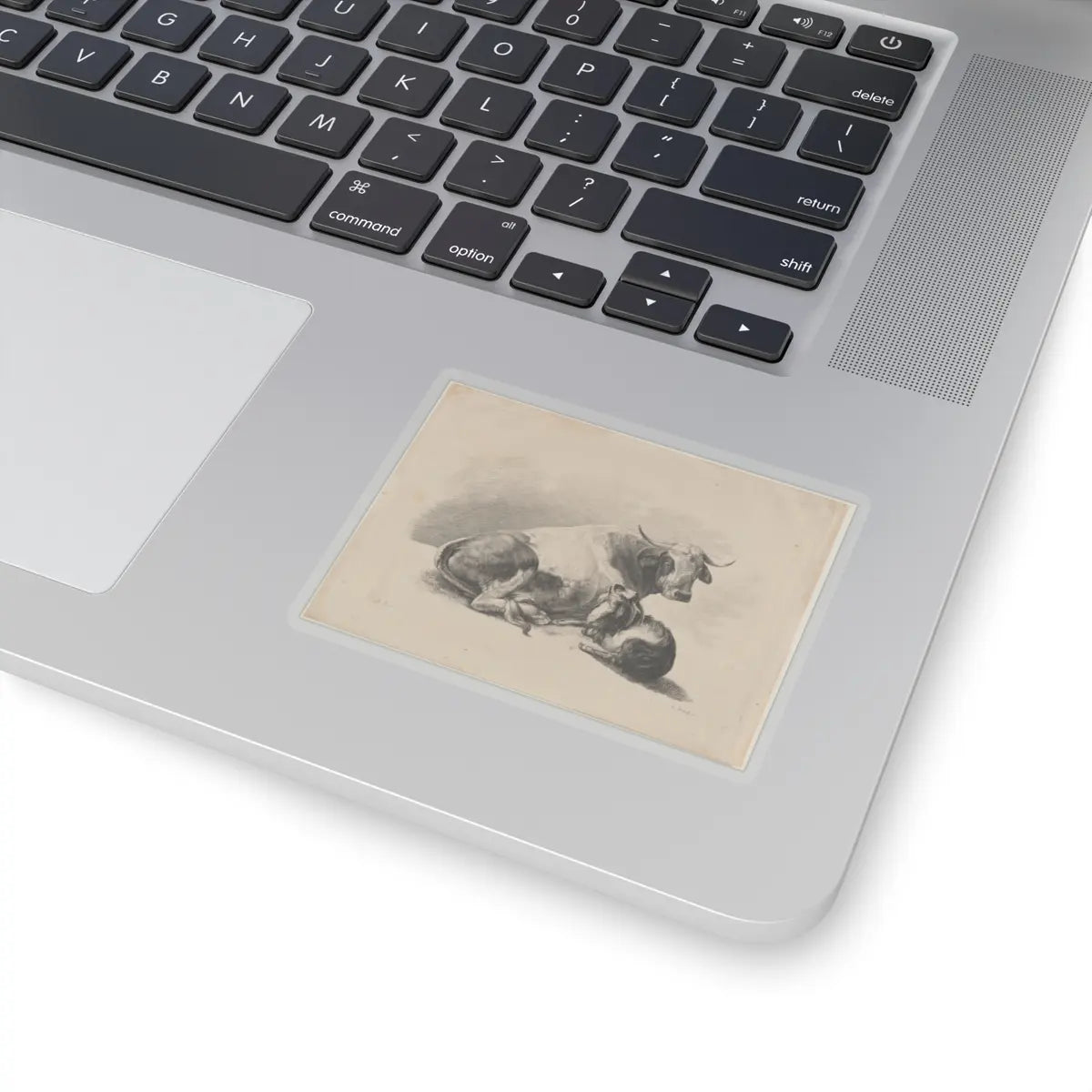 SKU:TSS-STICK-DMVN-3X3-13RVC Sizes:3" × 3" Types:Transparent