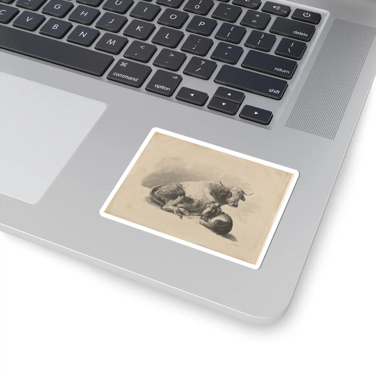 SKU:TSS-STICK-DMVN-3X3-4 Sizes:3" × 3" Types:White