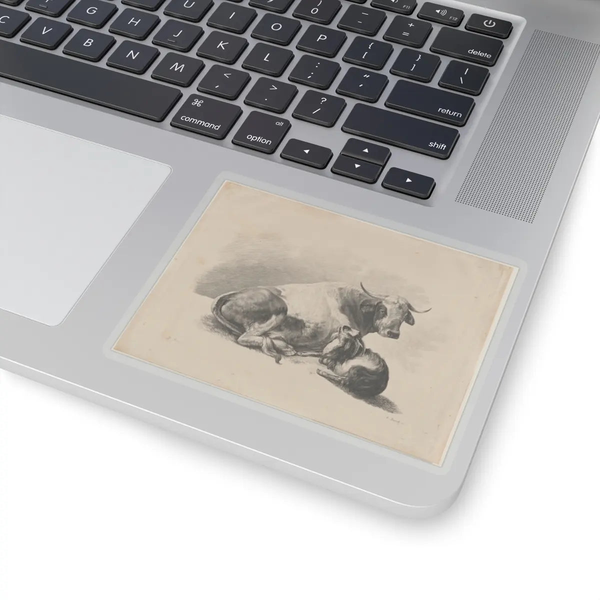 SKU:TSS-STICK-DMVN-4X4-13RVC Sizes:4" × 4" Types:Transparent