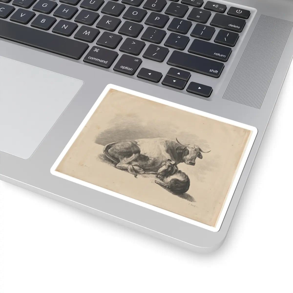 SKU:TSS-STICK-DMVN-4X4-4 Sizes:4" × 4" Types:White