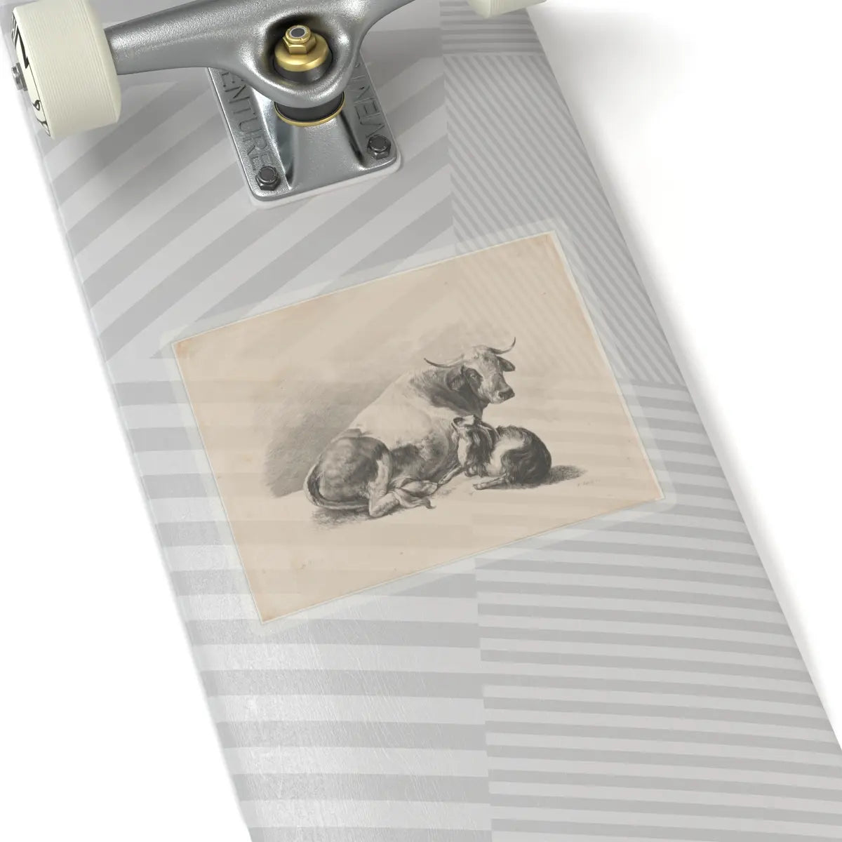SKU:TSS-STICK-DMVN-6X6-13RVC Sizes:6" × 6" Types:Transparent