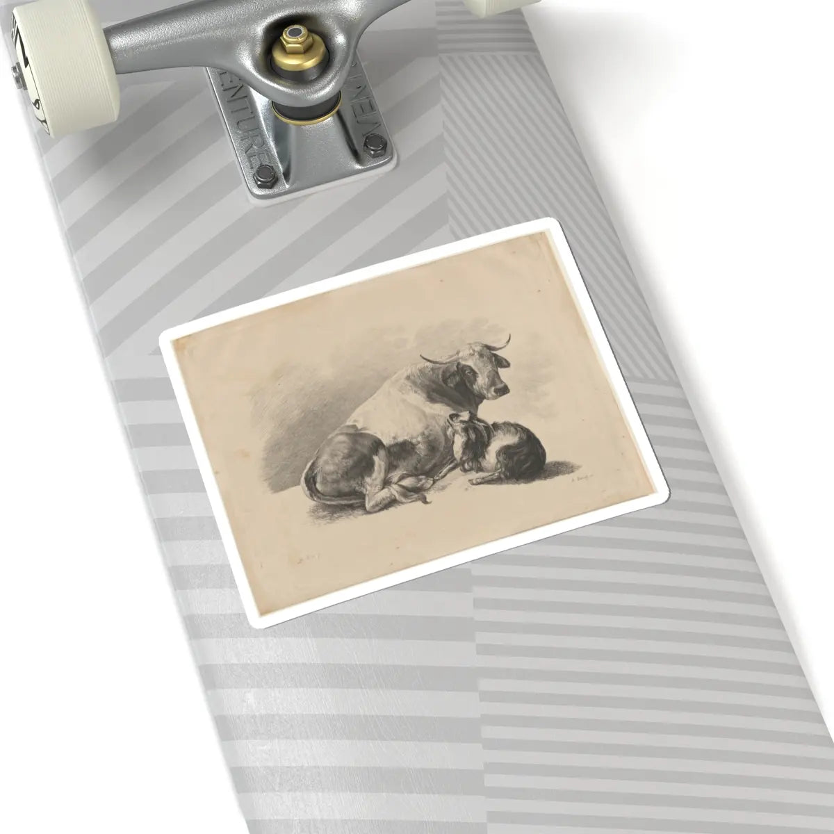 SKU:TSS-STICK-DMVN-6X6-4 Sizes:6" × 6" Types:White