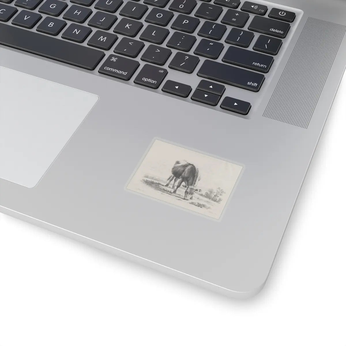 SKU:TSS-STICK-DMVN-2X2-13RVD Sizes:2" × 2" Types:Transparent