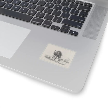 SKU:TSS-STICK-DMVN-2X2-13RVD Sizes:2" × 2" Types:Transparent