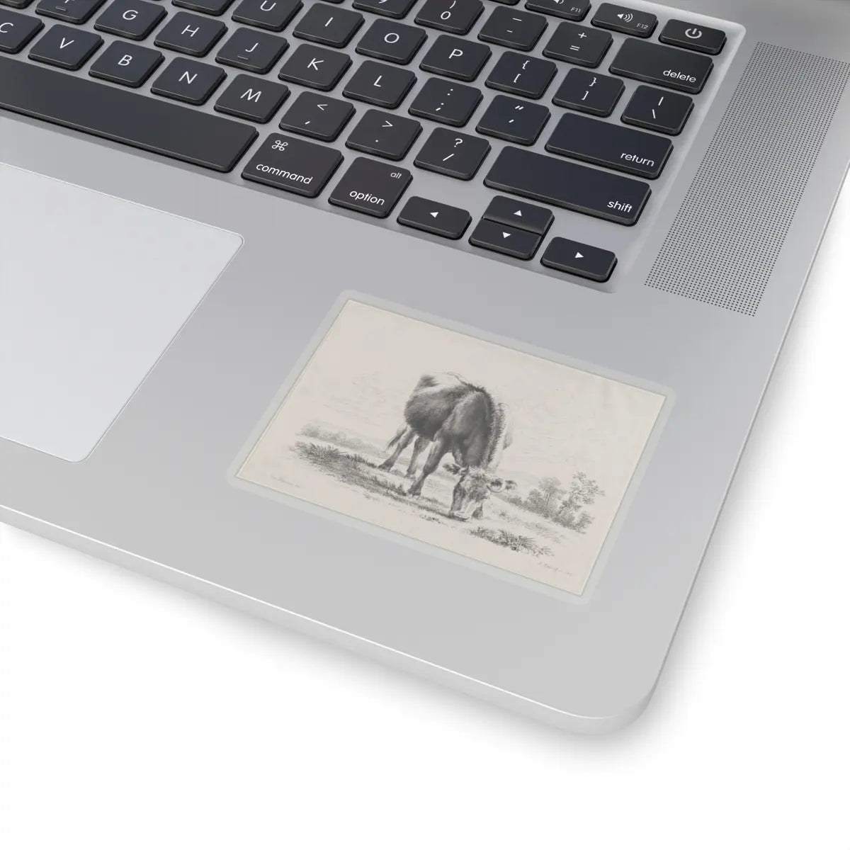SKU:TSS-STICK-DMVN-3X3-13RVD Sizes:3" × 3" Types:Transparent