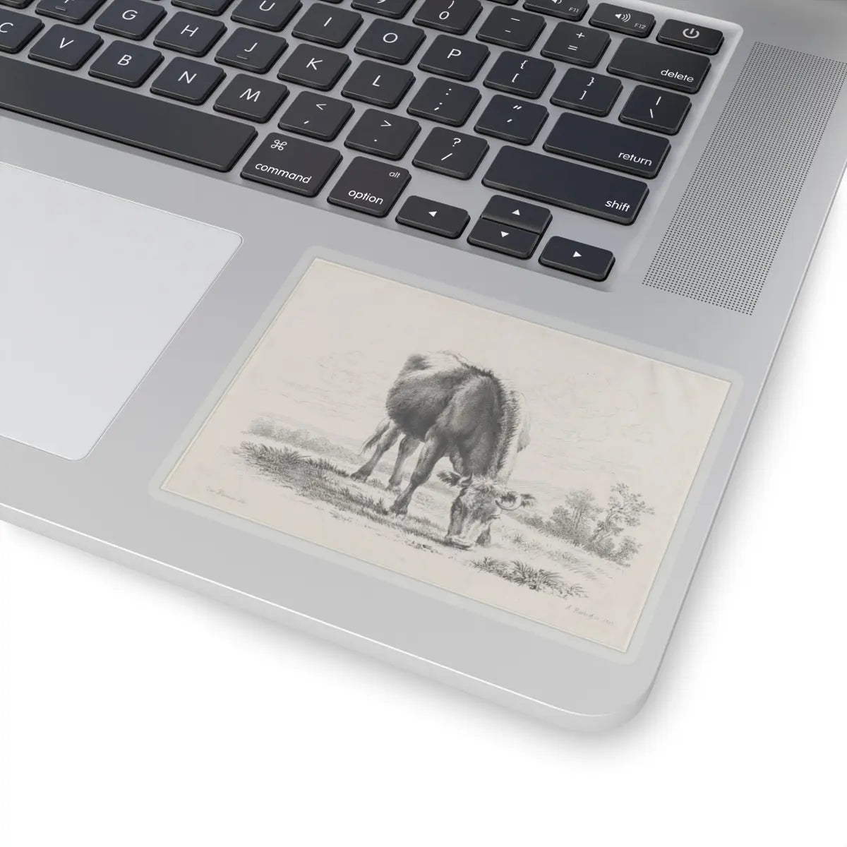 SKU:TSS-STICK-DMVN-4X4-13RVD Sizes:4" × 4" Types:Transparent