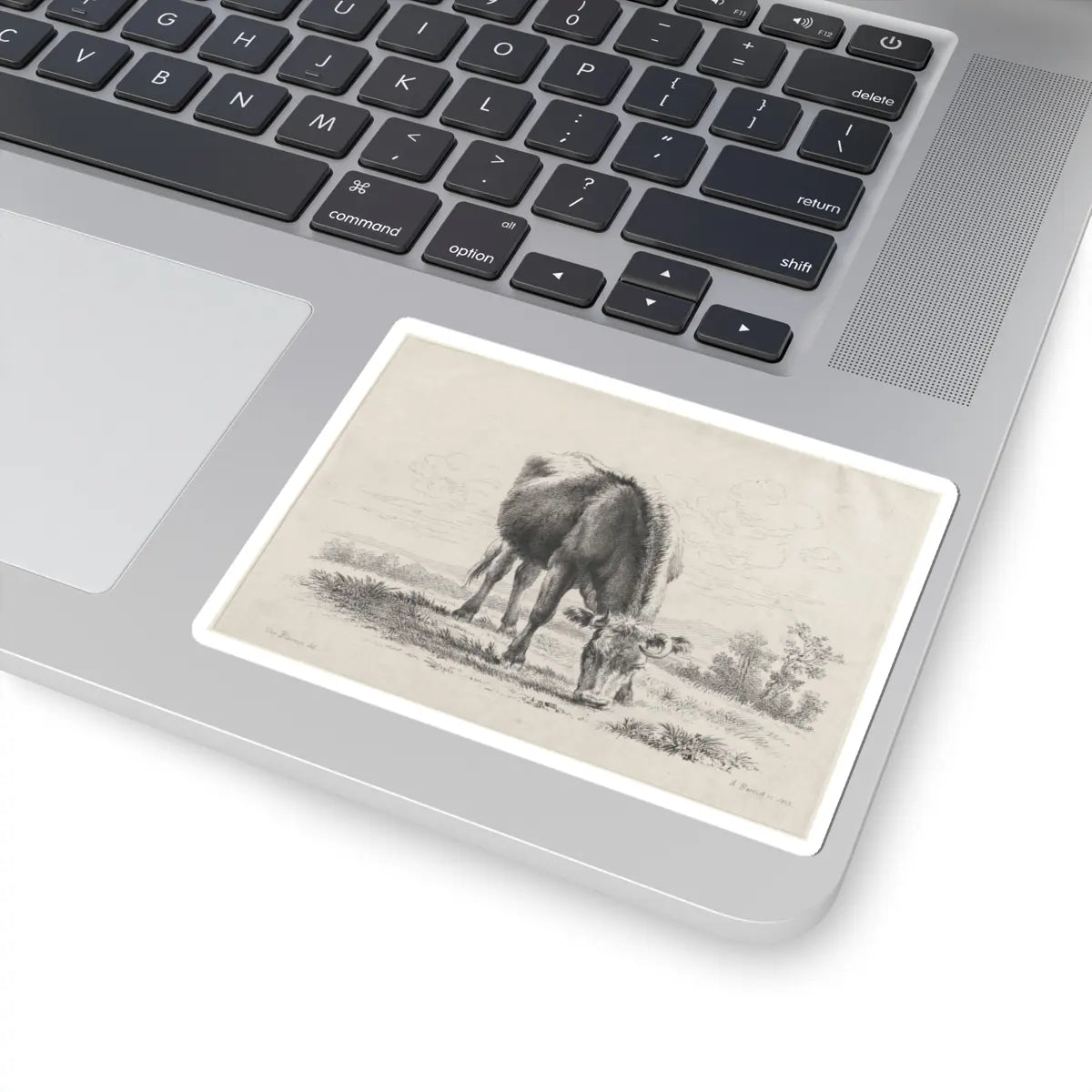SKU:TSS-STICK-DMVN-4X4-5 Sizes:4" × 4" Types:White