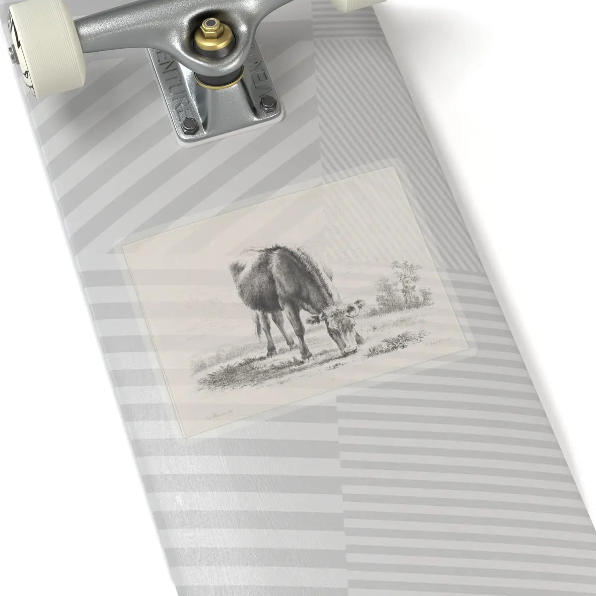 SKU:TSS-STICK-DMVN-6X6-13RVD Sizes:6" × 6" Types:Transparent