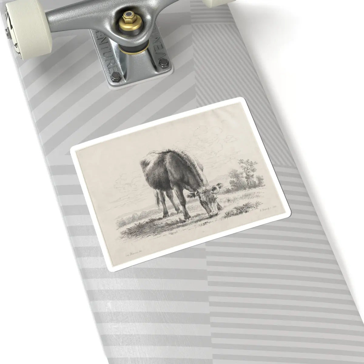 SKU:TSS-STICK-DMVN-6X6-5 Sizes:6" × 6" Types:White