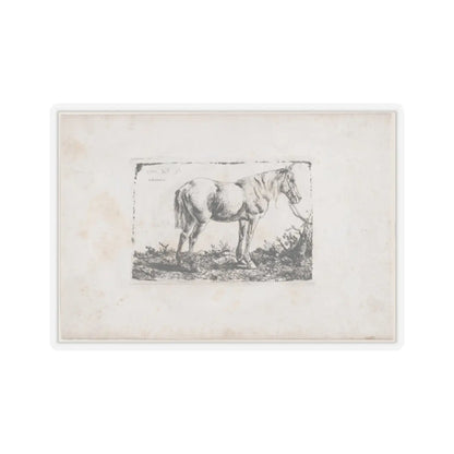 SKU:TSS-STICK-DMVN-2X2-13RVF Sizes:2" × 2" Types:Transparent