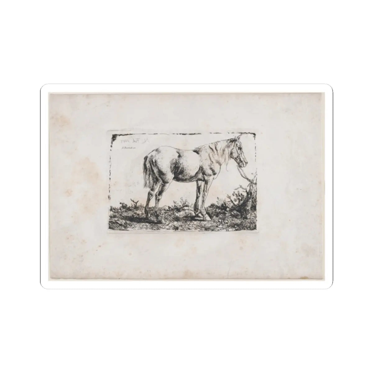 SKU:TSS-STICK-DMVN-2X2-7 Sizes:2" × 2" Types:White