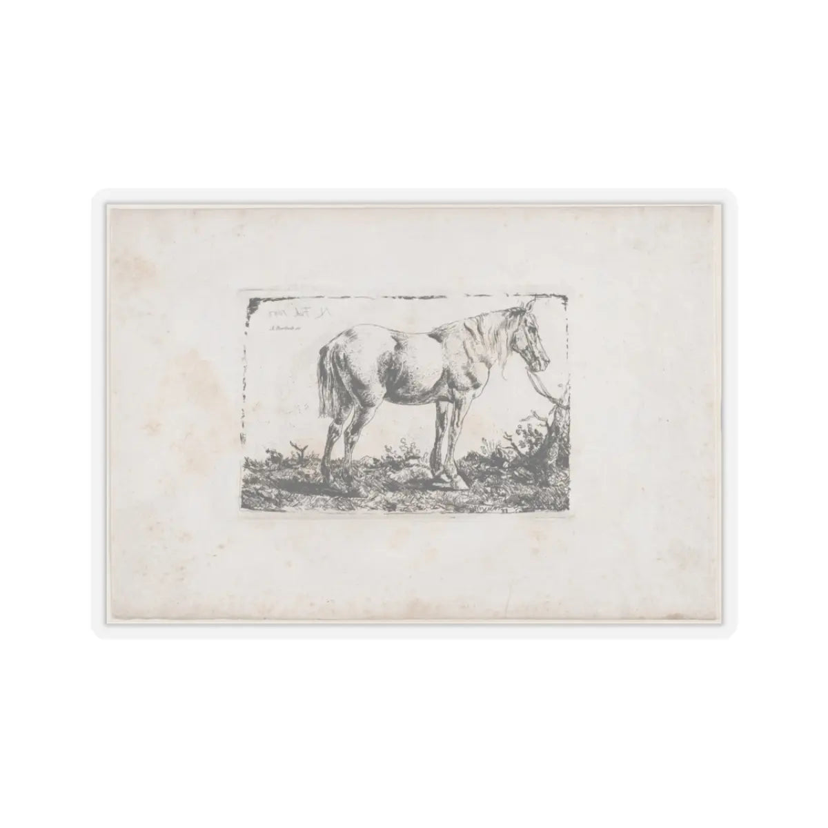SKU:TSS-STICK-DMVN-3X3-13RVF Sizes:3" × 3" Types:Transparent