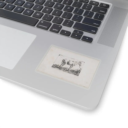 SKU:TSS-STICK-DMVN-3X3-13RVF Sizes:3" × 3" Types:Transparent