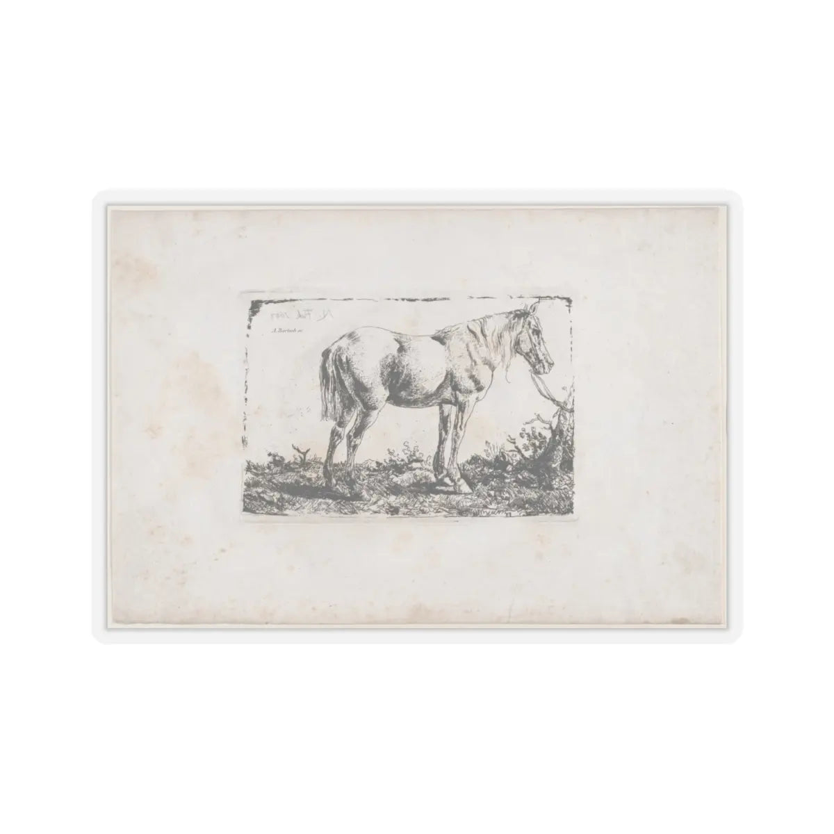 SKU:TSS-STICK-DMVN-4X4-13RVF Sizes:4" × 4" Types:Transparent
