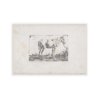 SKU:TSS-STICK-DMVN-4X4-13RVF Sizes:4" × 4" Types:Transparent
