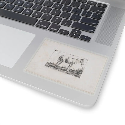 SKU:TSS-STICK-DMVN-4X4-13RVF Sizes:4" × 4" Types:Transparent