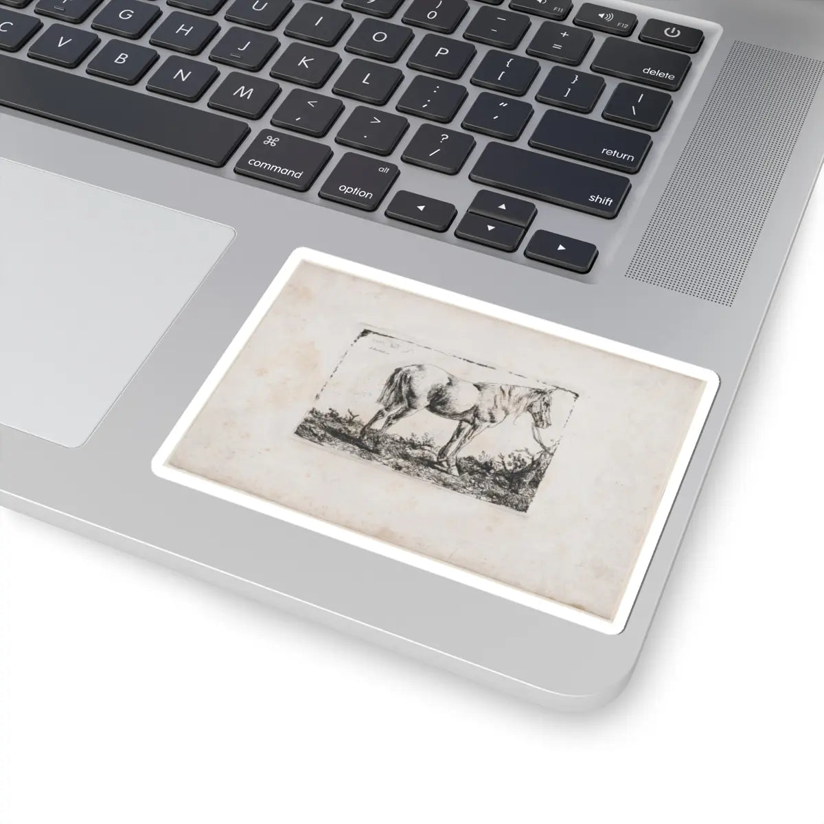 SKU:TSS-STICK-DMVN-4X4-7 Sizes:4" × 4" Types:White