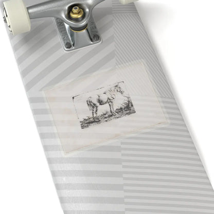 SKU:TSS-STICK-DMVN-6X6-13RVF Sizes:6" × 6" Types:Transparent