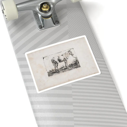 SKU:TSS-STICK-DMVN-6X6-7 Sizes:6" × 6" Types:White