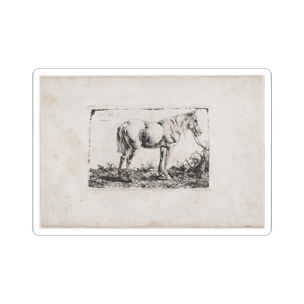 SKU:TSS-STICK-DMVN-6X6-7 Sizes:6" × 6" Types:White