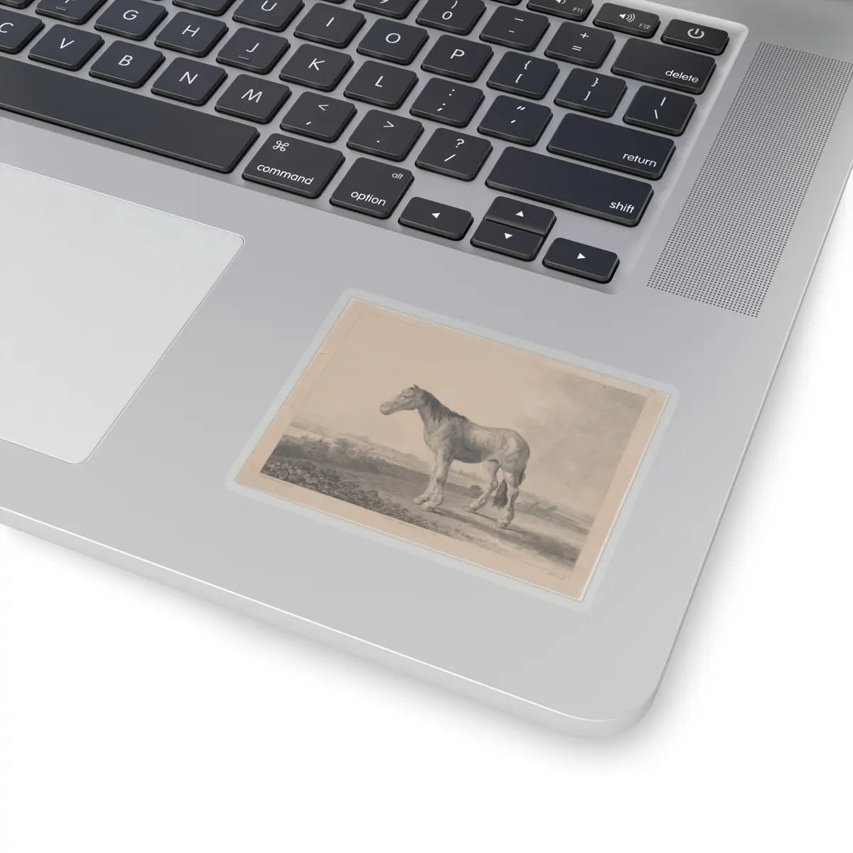 SKU:TSS-STICK-DMVN-3X3-13RVG Sizes:3" × 3" Types:Transparent