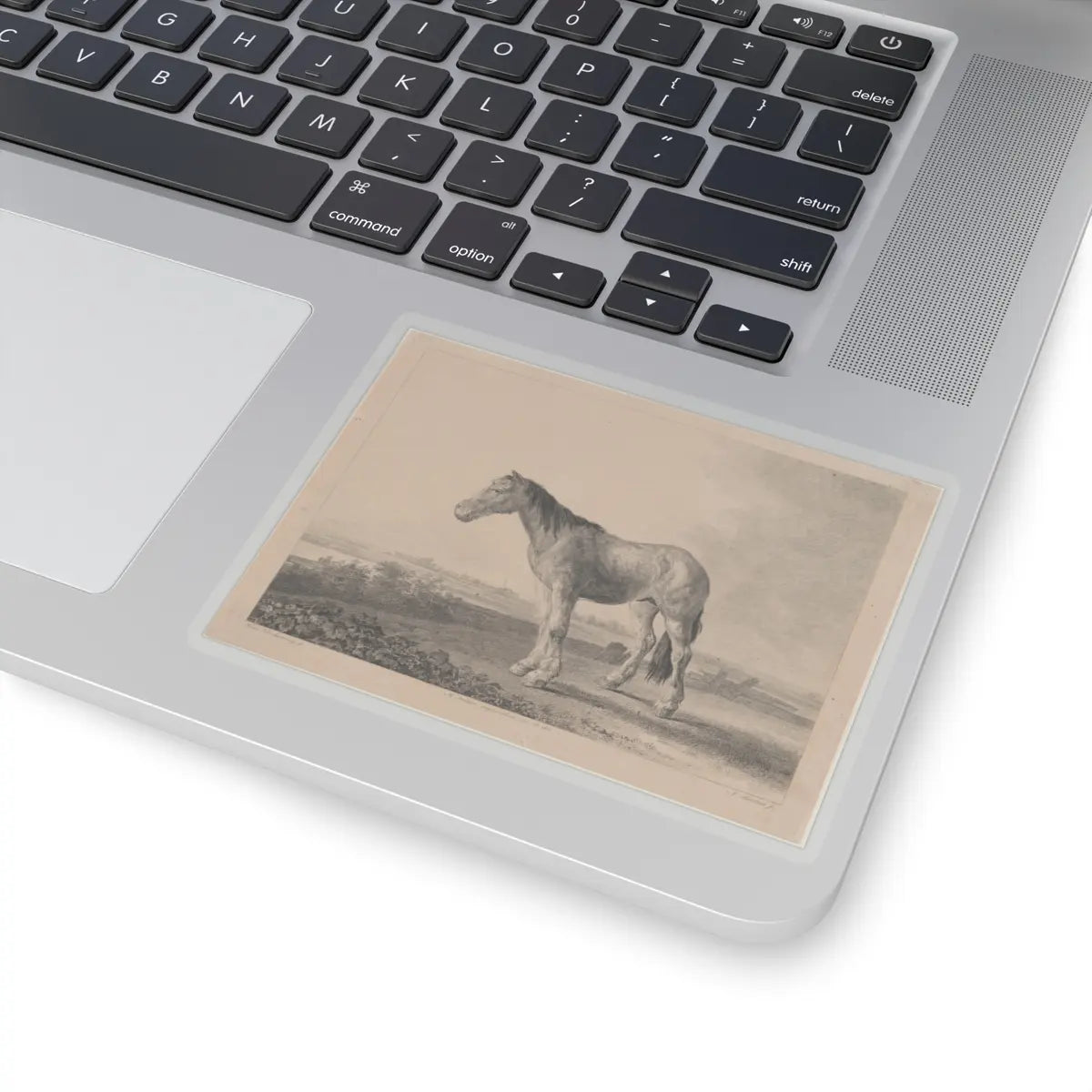 SKU:TSS-STICK-DMVN-4X4-13RVG Sizes:4" × 4" Types:Transparent
