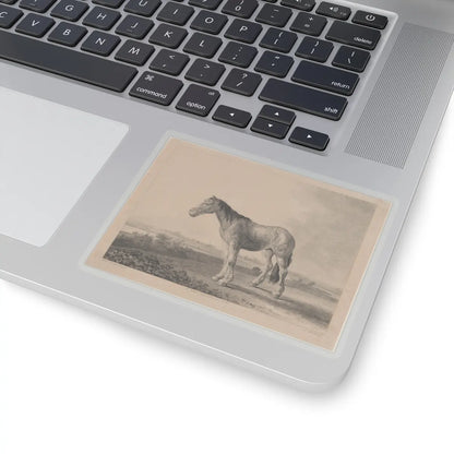 SKU:TSS-STICK-DMVN-4X4-13RVG Sizes:4" × 4" Types:Transparent