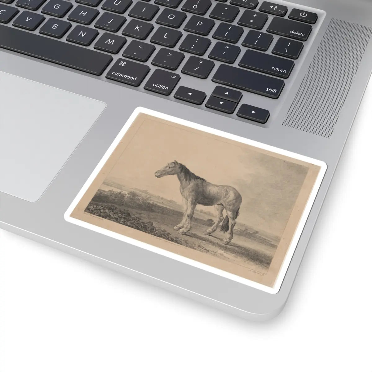 SKU:TSS-STICK-DMVN-4X4-8 Sizes:4" × 4" Types:White