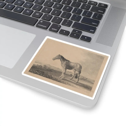 SKU:TSS-STICK-DMVN-4X4-8 Sizes:4" × 4" Types:White