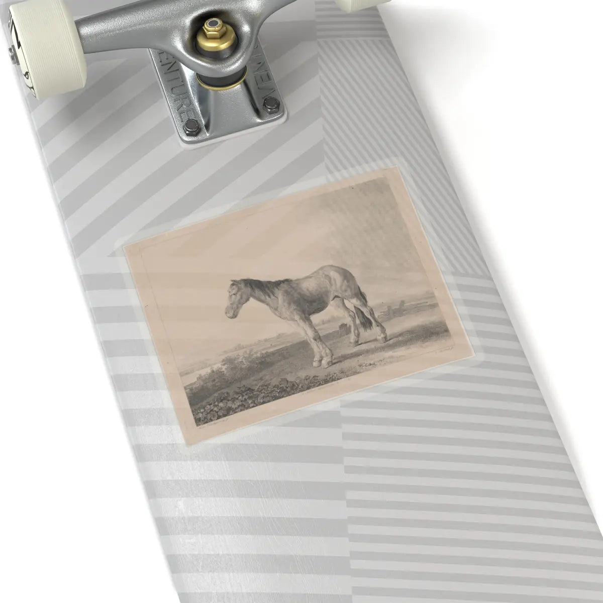 SKU:TSS-STICK-DMVN-6X6-13RVG Sizes:6" × 6" Types:Transparent