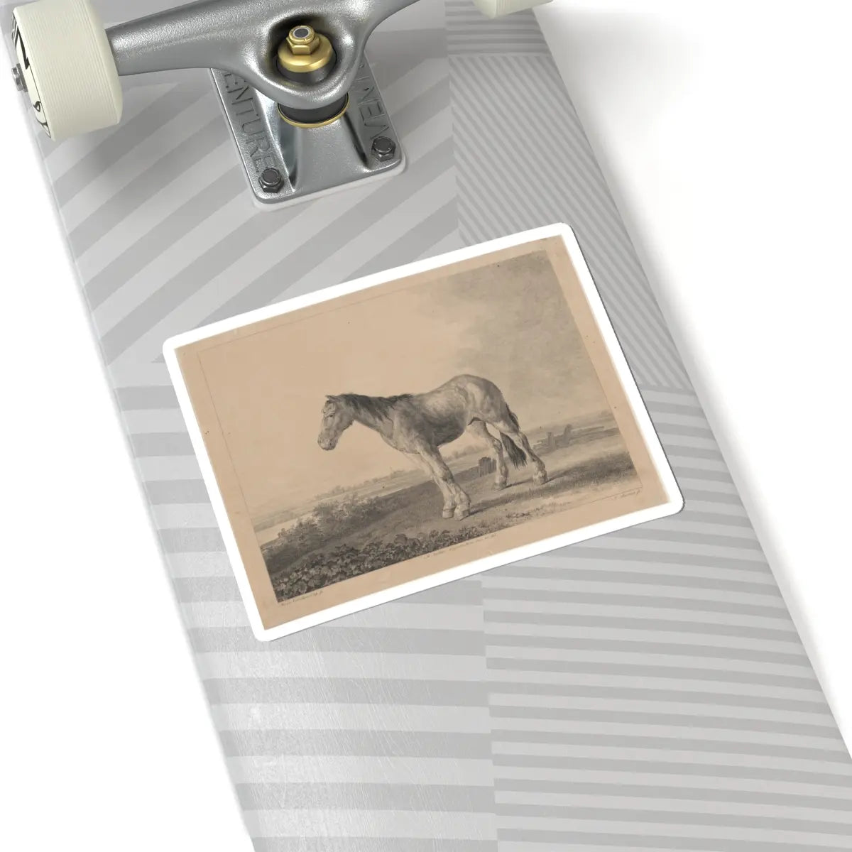 SKU:TSS-STICK-DMVN-6X6-8 Sizes:6" × 6" Types:White